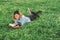 Education woman.Young beautiful woman reading a book in the park