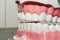 Educational dental model, jaws with white teeth close up, front angle view