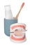 Educational dental typodont model with teeth near paste and brush in holder on white background