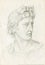 Educational drawing gypsum head portrait Apollo Belvedere. Lead pencil on paper