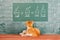 Educational funny concept about red Cat studied mathematics example of addition of mice