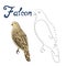 Educational game connect dots draw falcon bird