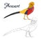 Educational game connect dots draw pheasant bird