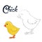 Educational game connect dots to draw chick bird