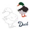 Educational game connect dots to draw duck bird