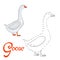 Educational game connect dots to draw goose bird