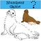 Educational game: Numbers game with contour. Mother seal with ba
