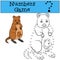 Educational game: Numbers game. Mother quokka with baby