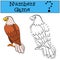 Educational games for kids: Numbers game with contour. Cute eagle