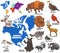 Educational illustration of cartoon North American animals set