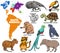 Educational illustration of cartoon South American animals set