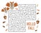 Educational maze for kids, cute owls and acorns. Autumn illustration vector