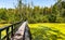 Educational path 13 Blota Stop across wetland of Bagno Calowanie Swamp reserve in Podblel village south of Warsaw in Poland