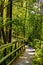 Educational path 13 Blota Stop across wetland of Bagno Calowanie Swamp reserve in Podblel village south of Warsaw in Poland