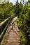 Educational path 13 Blota Stop across wetland of Bagno Calowanie Swamp reserve in Podblel village south of Warsaw in Poland