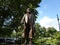 Edward Everett Hale Sculpture, Boston Public Garden, Boston, Massachusetts, USA