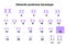 Edwards syndrome karyotype