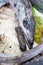 Eels on the fishing market, Essaouira Morocco