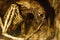 Eerie Ancient Human Skeleton in Shadowy Cave Setting, Dark Archaeological Discovery Theme