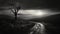 Eerie Black And White Landscape: Lone Tree On A Desolate Road