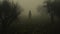 Eerie Chiaroscuro Ghost Walking In Olive Fog - 8k Resolution
