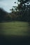 Eerie cold park in the UK, a single person standing in the distance on a cold day. Vertical shot with dark shadows