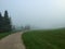 Eerie foggy silent early morning landscape with footpath, green lawn and fir spruces