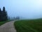 Eerie foggy silent early morning landscape with footpath, green lawn and fir spruces