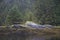 Eerie glowing on whitish rock in fairy forest bay