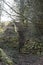 Eerie moss covered stone stairs in forest