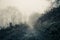 An eerie path on a spooky foggy winters day in the countryside. With a sepia edit. Malvern Hills, Worcestershire, UK