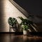 Eerie Shadows: Distorted Monstera Plant and Leaning Chair in Dimly Lit Room