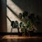 Eerie Shadows: Distorted Monstera Plant and Leaning Chair in Dimly Lit Room