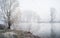 Eerie shot of a lake near bare trees and a powerline above, shrouded by mist