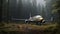 Eerily Realistic Adventure: Dark Silver And Yellow Plane In Forest