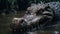 Eerily Realistic Alligator In Unreal Engine: Mysterious Jungle Close-up