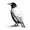 Eerily Realistic Crow Drawing: Dark White And Light Black Illustration