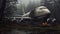 Eerily Realistic Forest An Abandoned Airplane Amidst Gloomy Metropolis