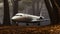 Eerily Realistic Forest Airplane Painting With Spare And Elegant Brushwork