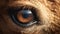 Eerily Realistic Horse Eye With Water Droplets - Hyper-realistic Animal Illustration