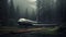 Eerily Realistic Hyper-realistic Plane In Foggy Forest