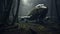 Eerily Realistic Photorealistic Renderings Of An Old Plane In A Dark Forest