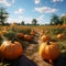 Eerily Realistic Pumpkin Patch: Unreal Engine Ray Tracing Creates Romantic Landscapes