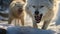 Eerily Realistic Vray Traced Image Of Two Supernatural Wolves Yelling In The Snow