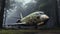 Eery Airplane In The Woods: Photorealistic Cargopunk Ruins By Kerem Beyit