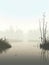 An eery lake shrouded by a thick mist its surface still and lifeless. Gothic art. AI generation