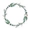 Eeucalyptus round watercolor wreath with silver dollar branches, plants with long leaves. Elegant botanical green frame