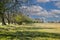 Eexterveld nature reserve in spring between Anderen and Eext tree-covered ring wall