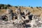 Efes Ephesus in Selcuk, Turkey