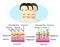 Effect of environment on the skin, three types of face, vector illustration and diagram for cosmetological illustration